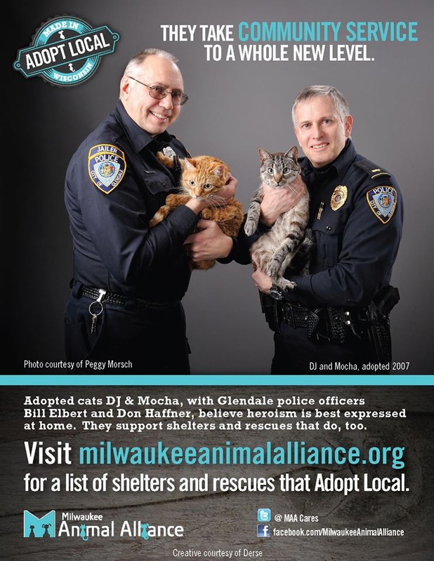 Milwaukee Animal Alliance Encourages Residents to 